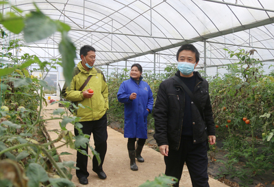 實地走訪調研助力脫貧成效鞏固——以農產品種植為例